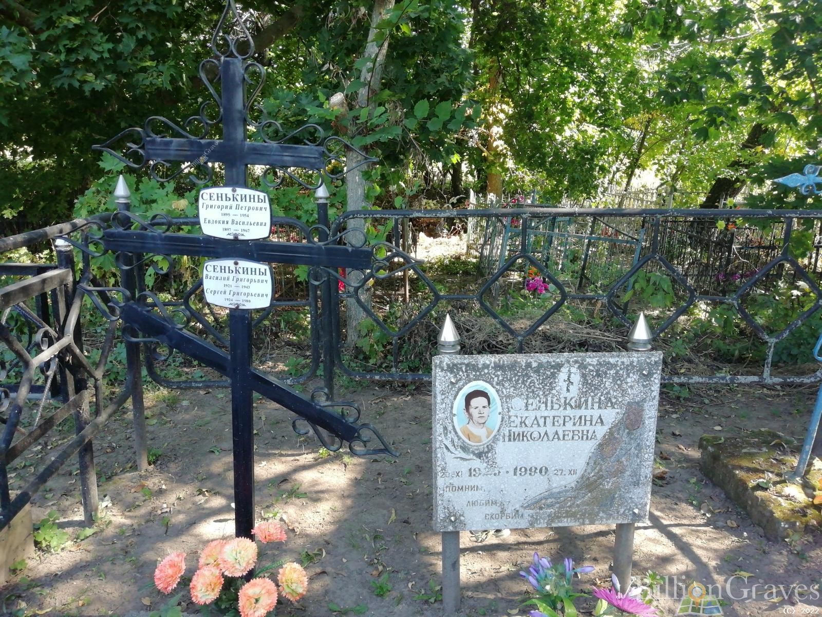 Сенькина Екатерина Николаевна