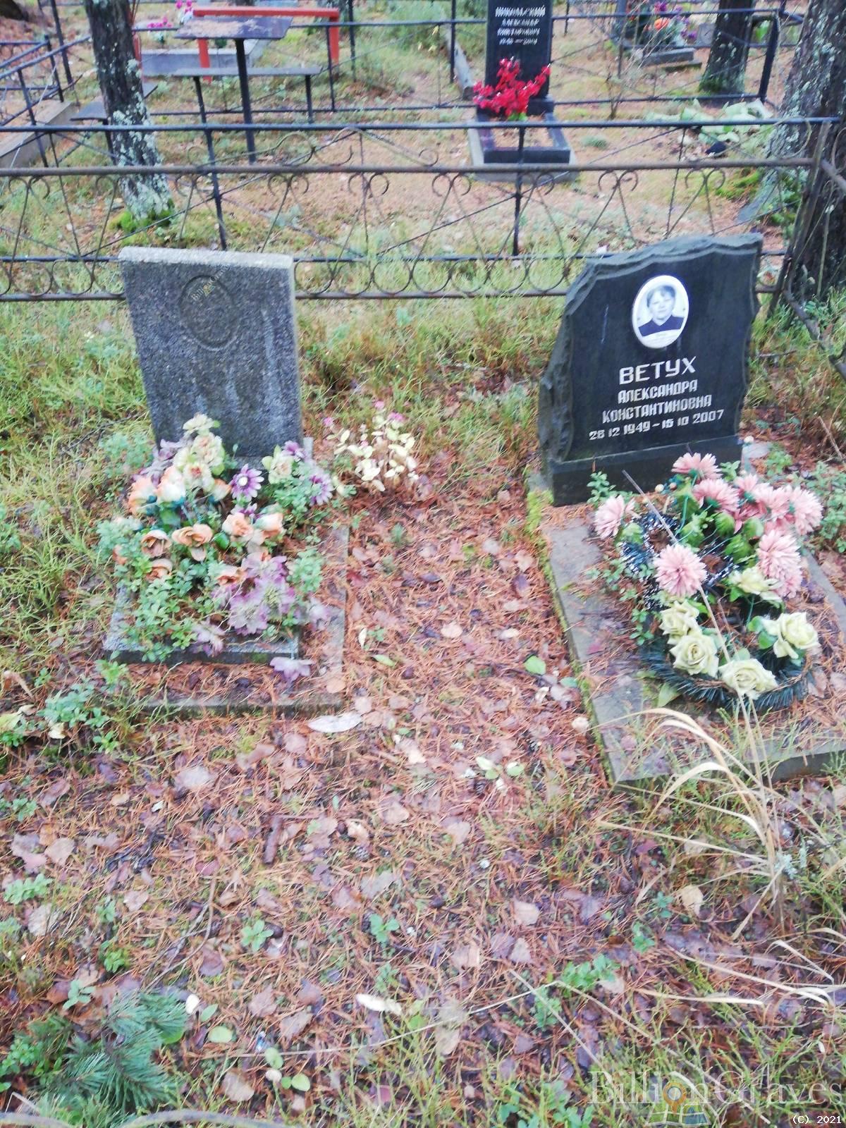 Ветух Александра Константиновна