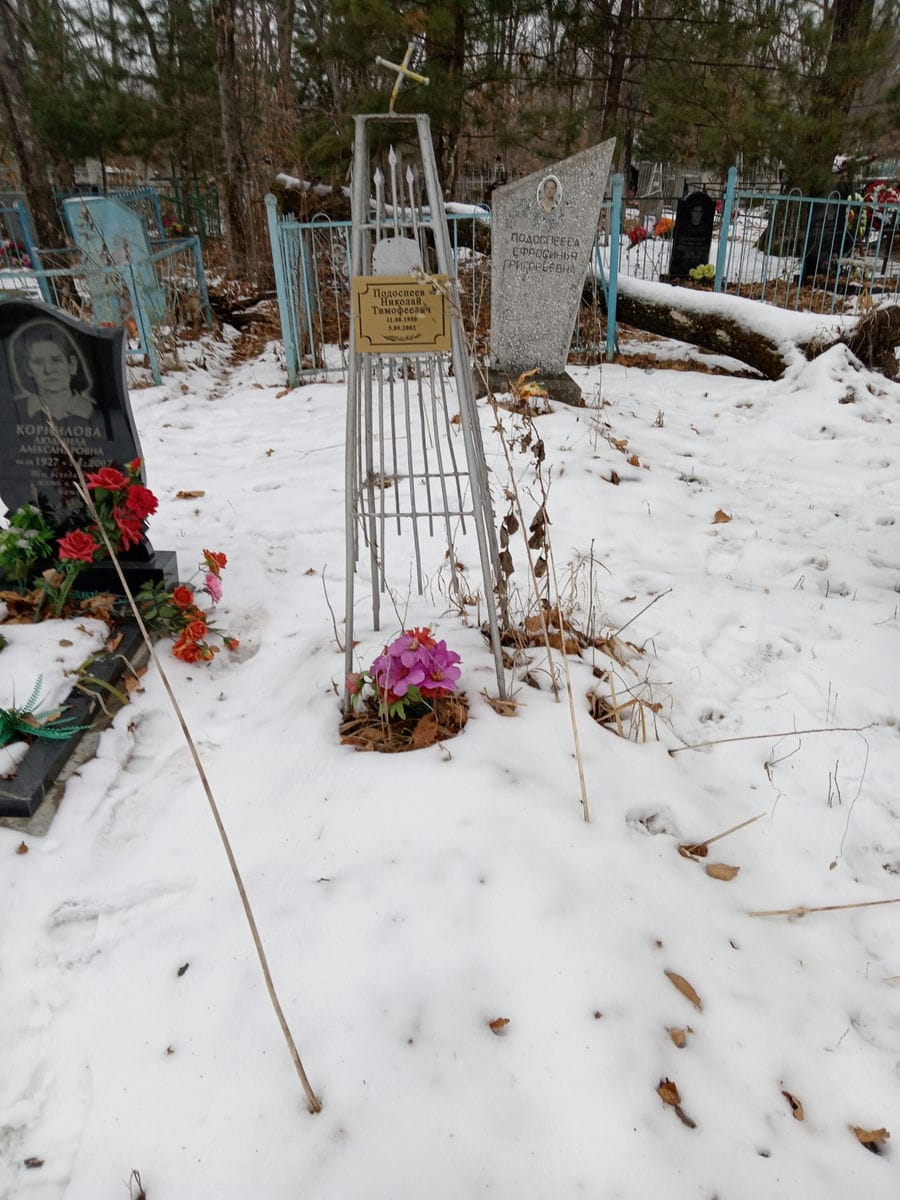 Подоспеев Николай Тимофеевич