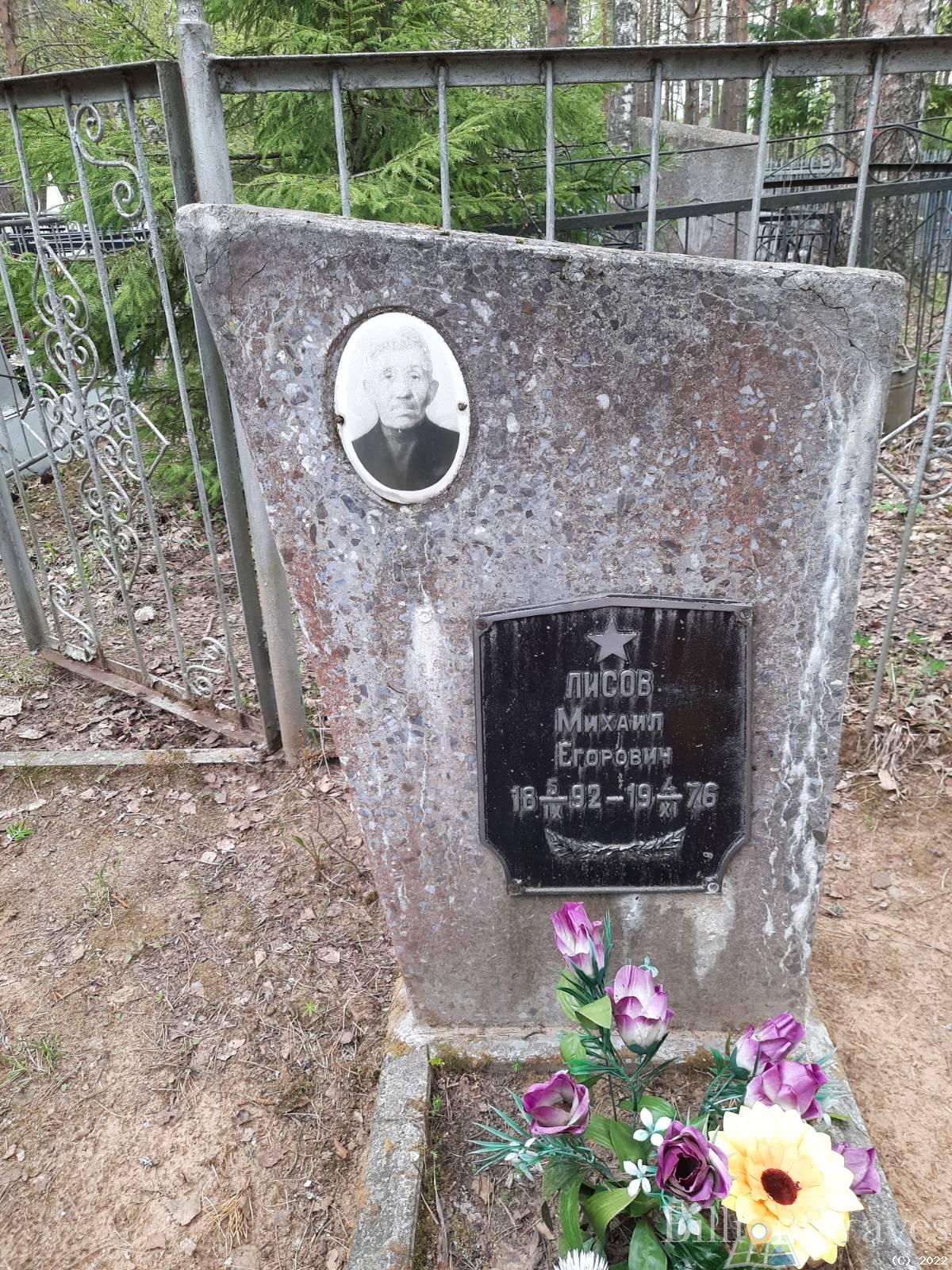 Лисова Анна Андриановна