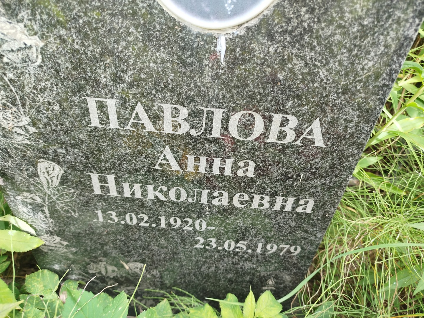 Павлова
