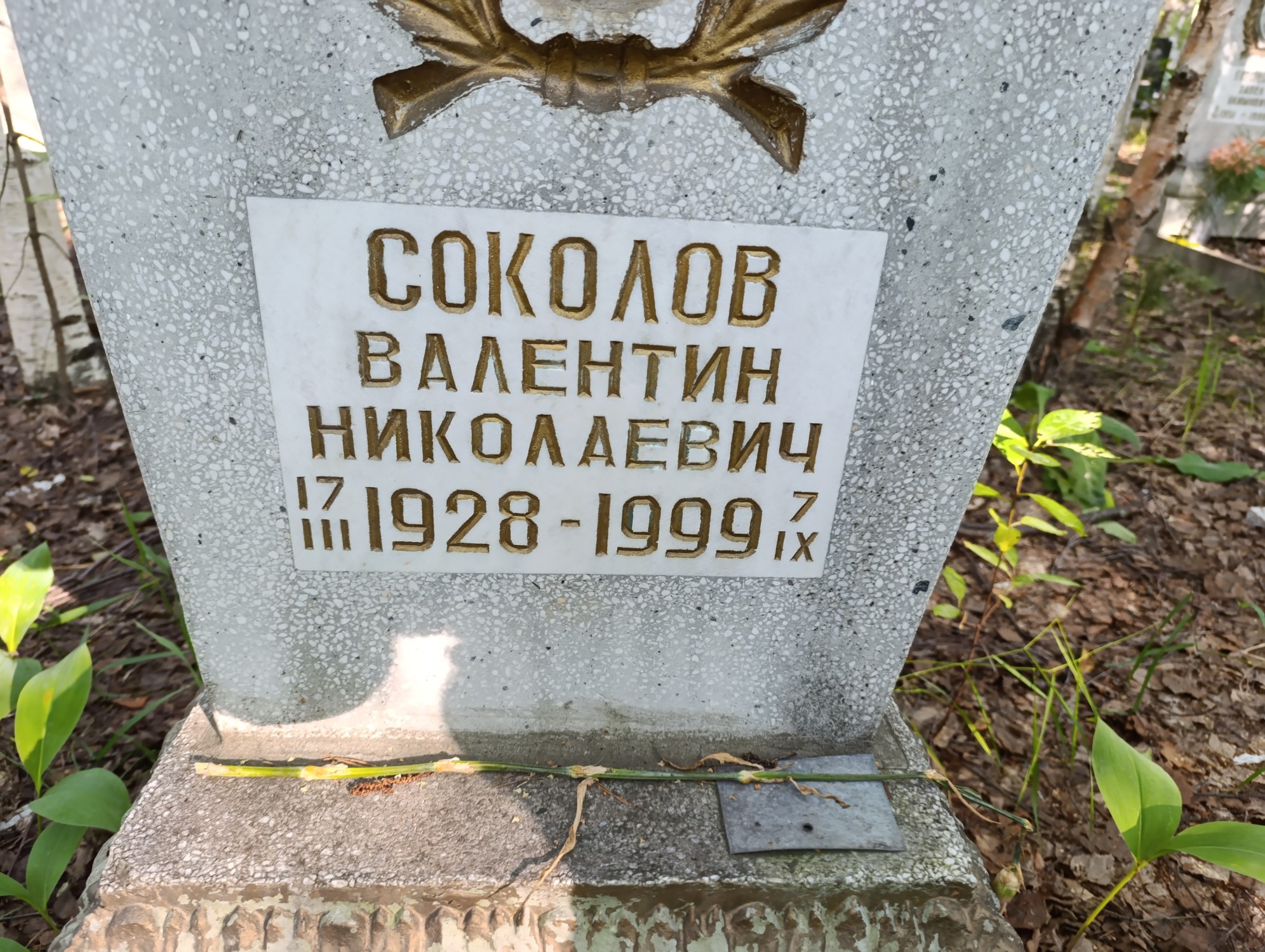 Соколов Валентин Николаевич