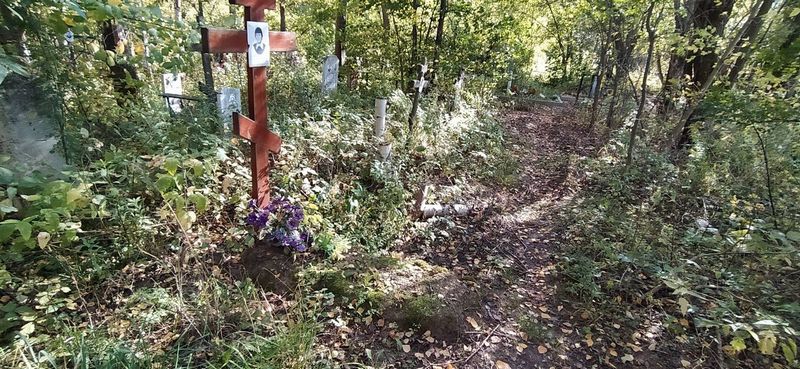 Николаев Александр Владимирович