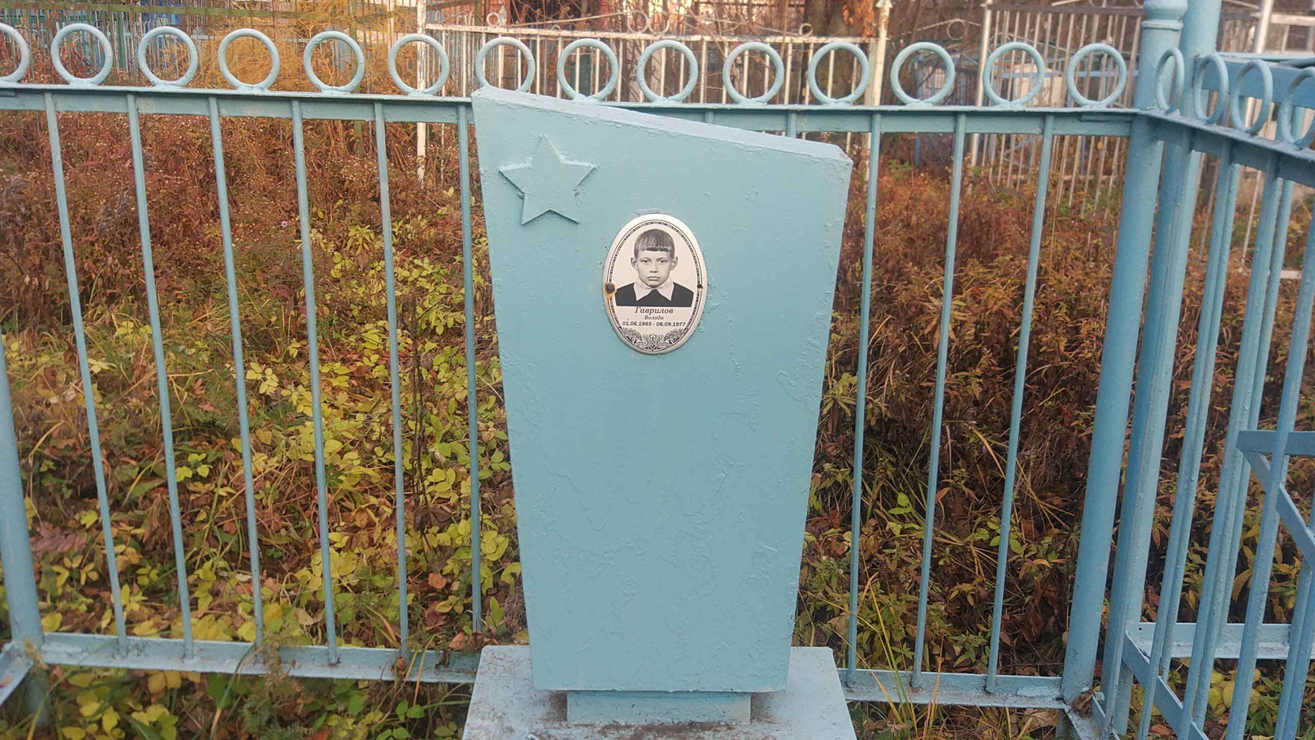 Гаврилов Володя