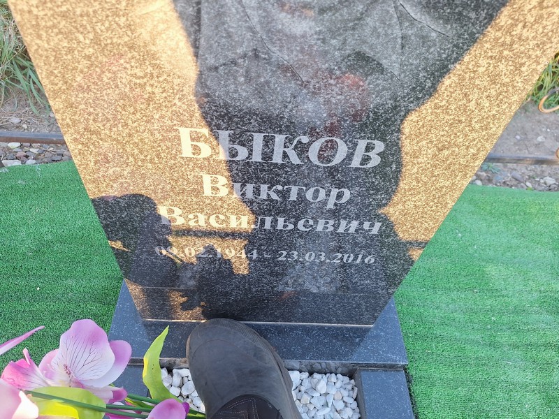Быков