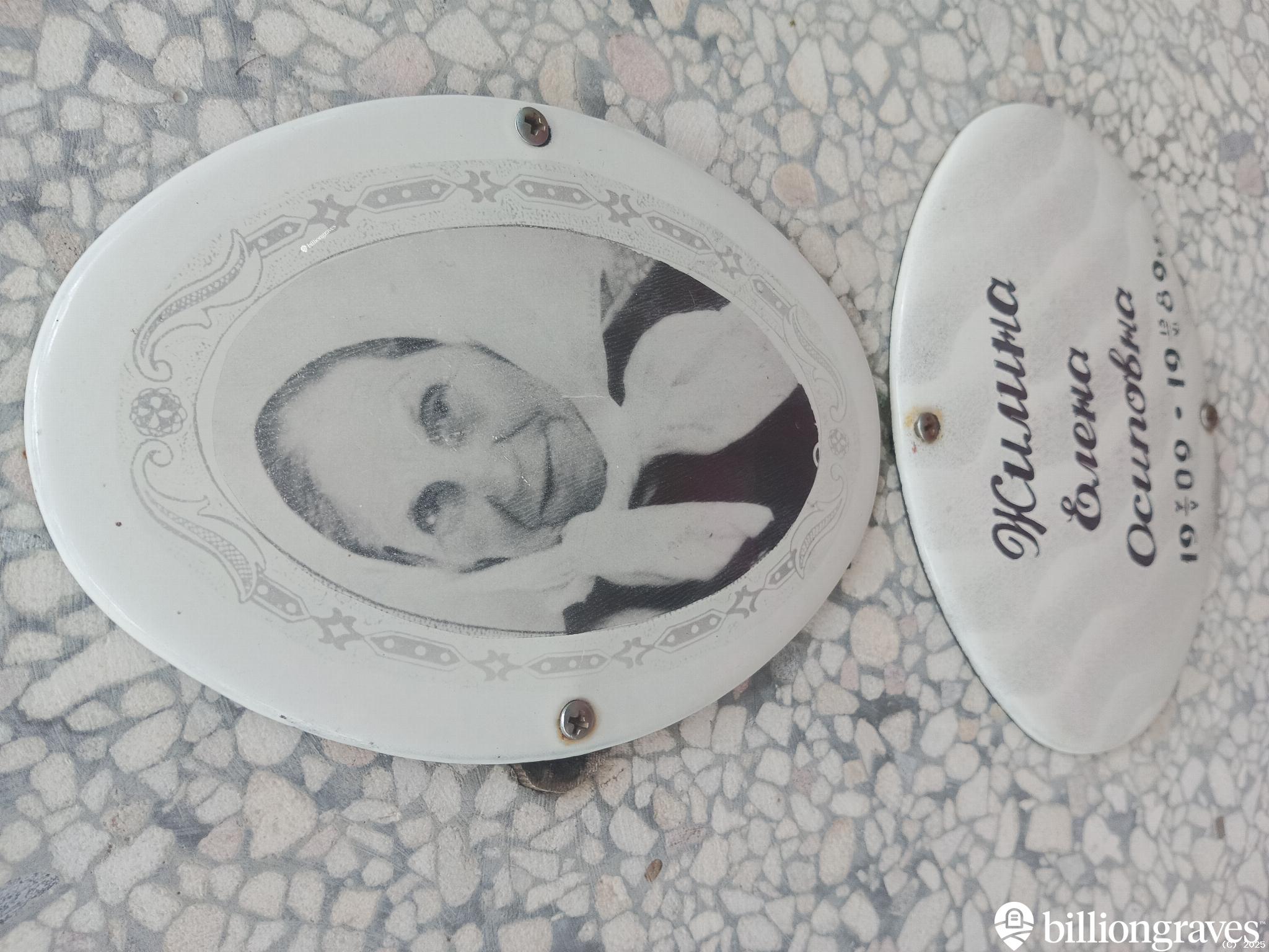 Жилина Елена Осиповна