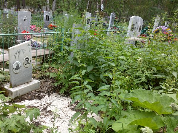 Черепанова Татьяна Никифоровна