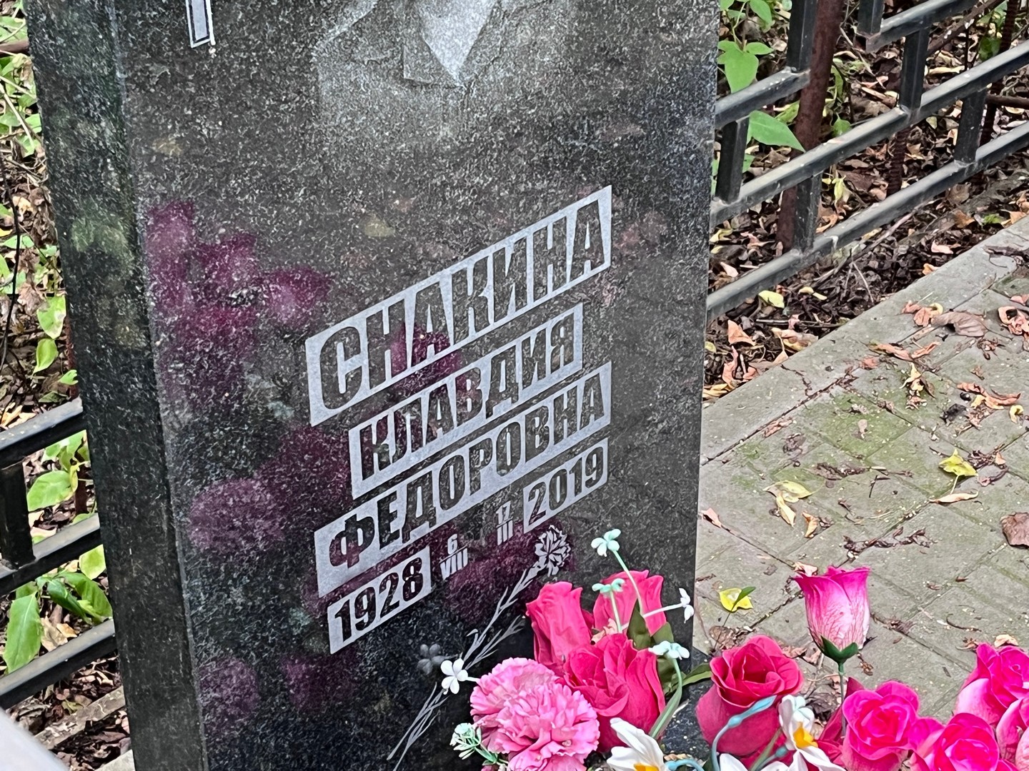 Снакина