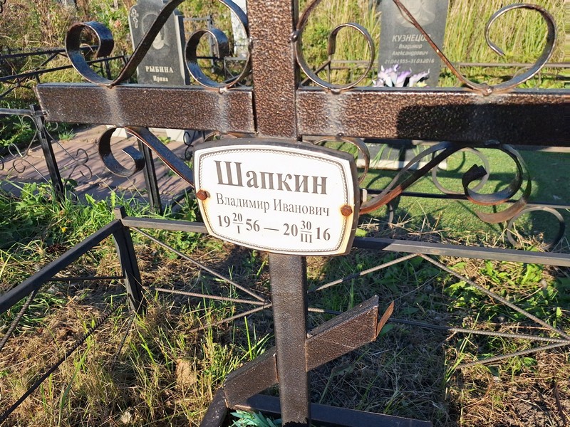 Шапкин