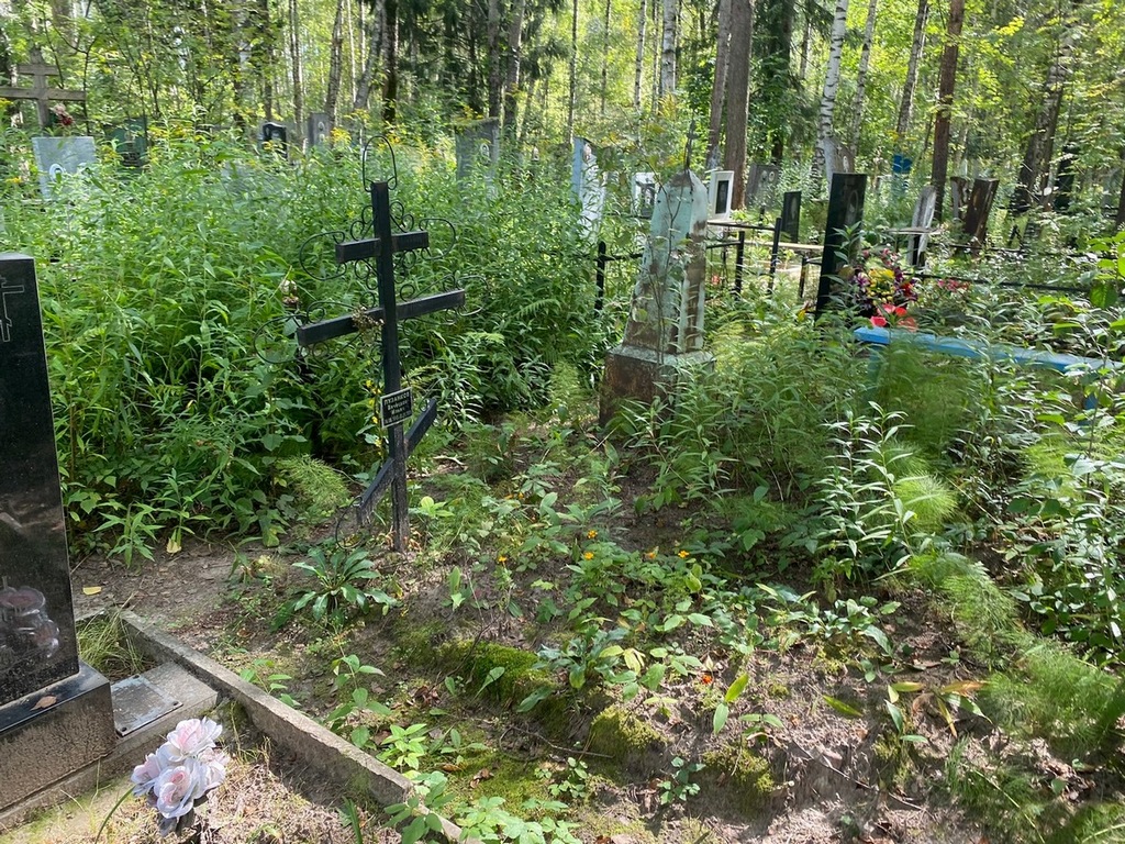Пузанков Вячеслав Ильич