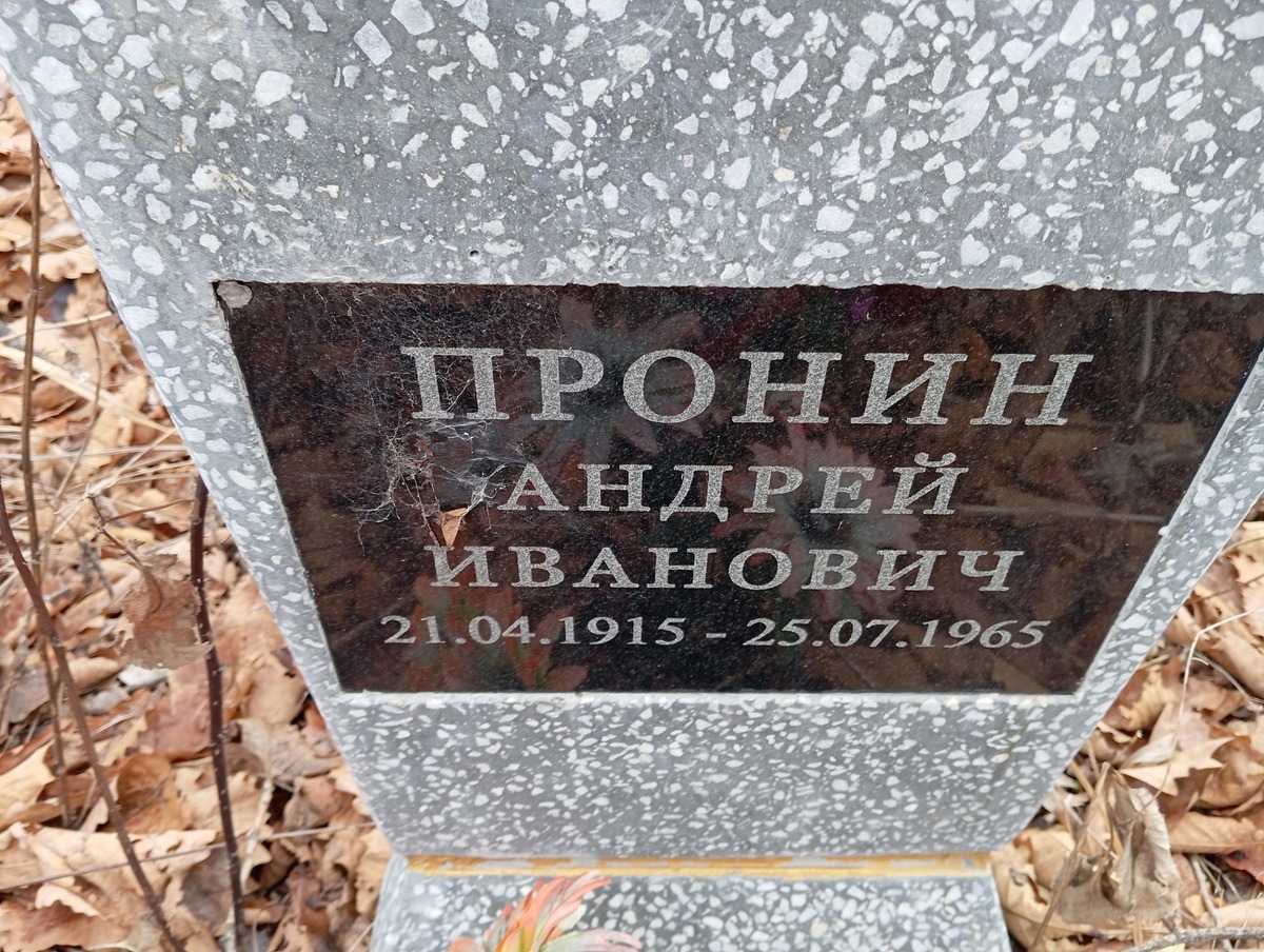 Пронин Андрей Иванович