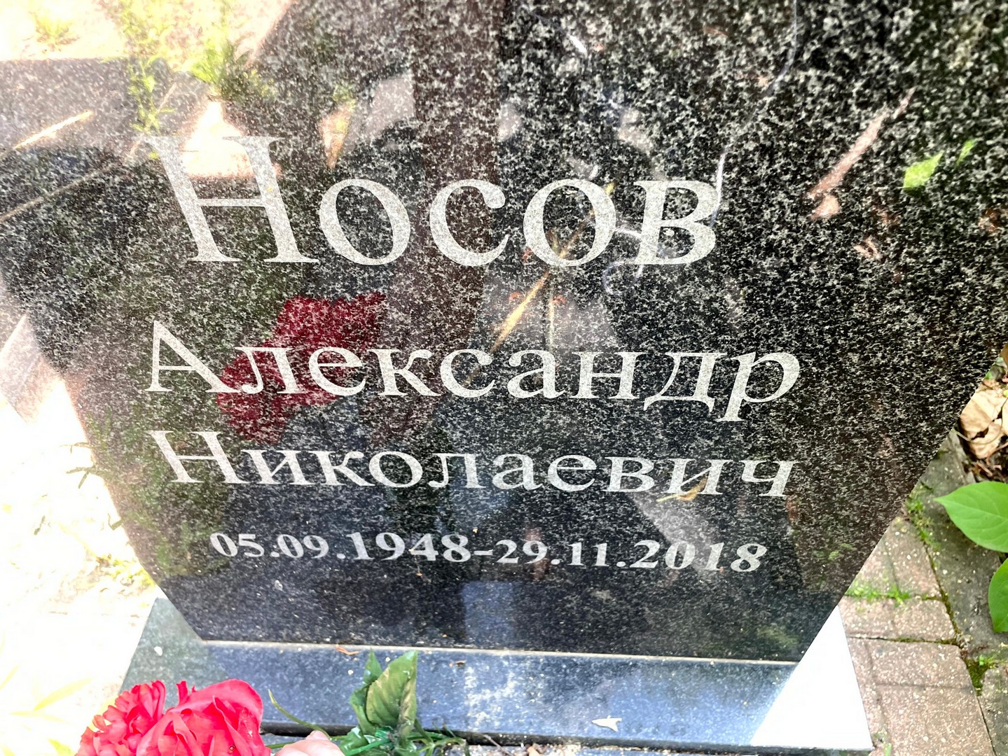 Носов