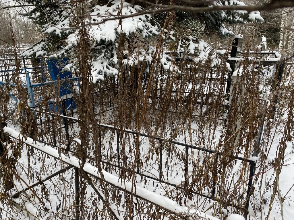 Пынина Ефросинья Сидоровна