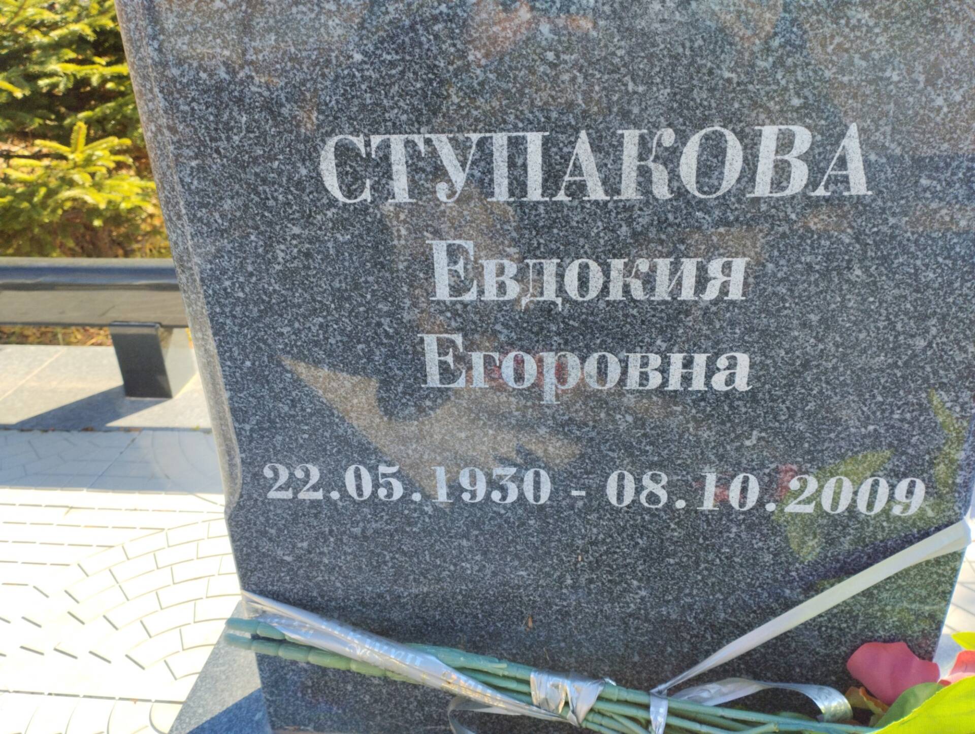 Ступакова Евдокия Егоровна