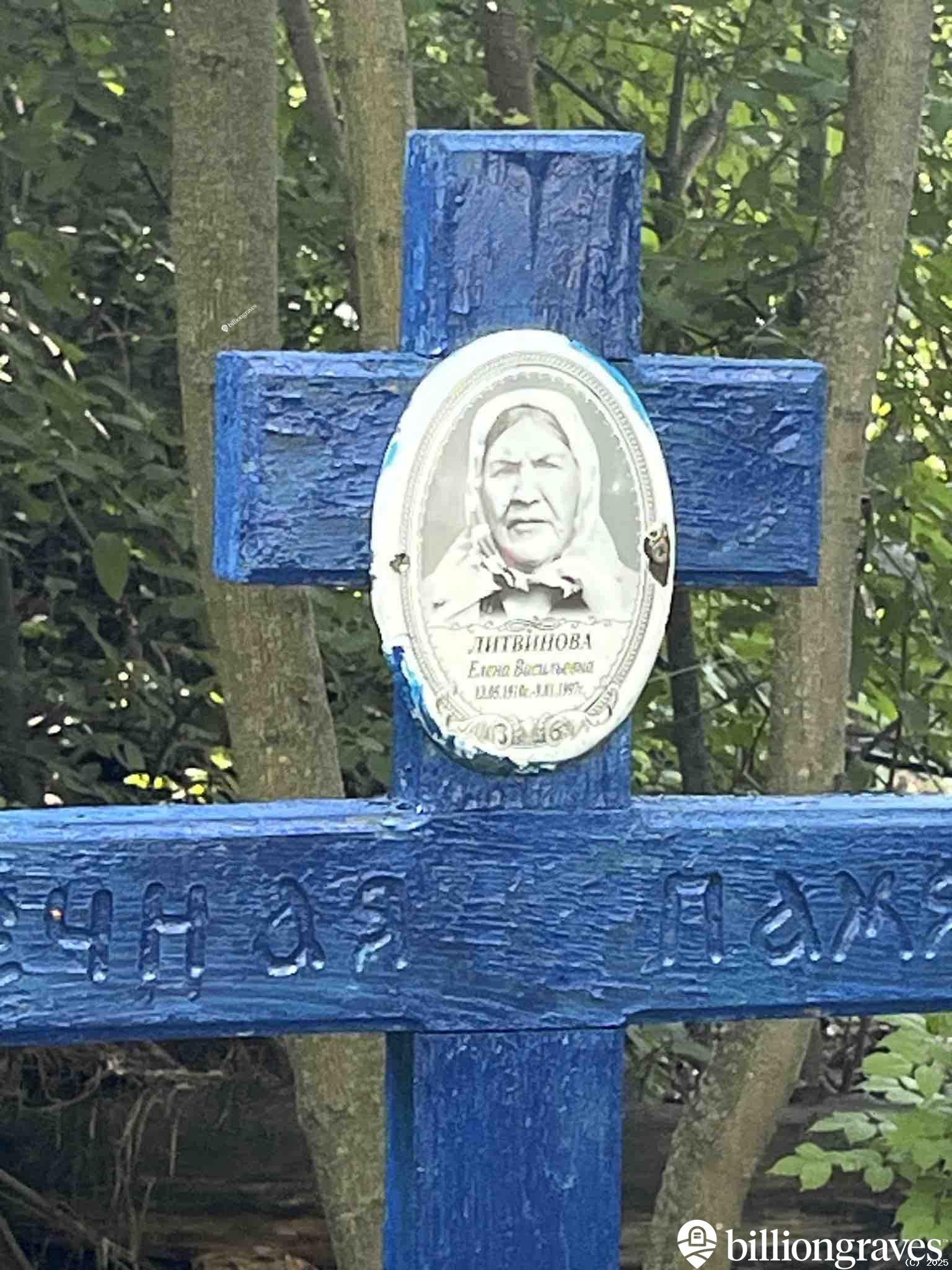 Литвинова Елена Васильевна