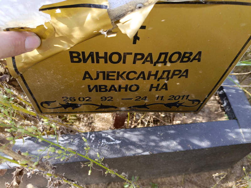 Виноградова Александра Ивановна