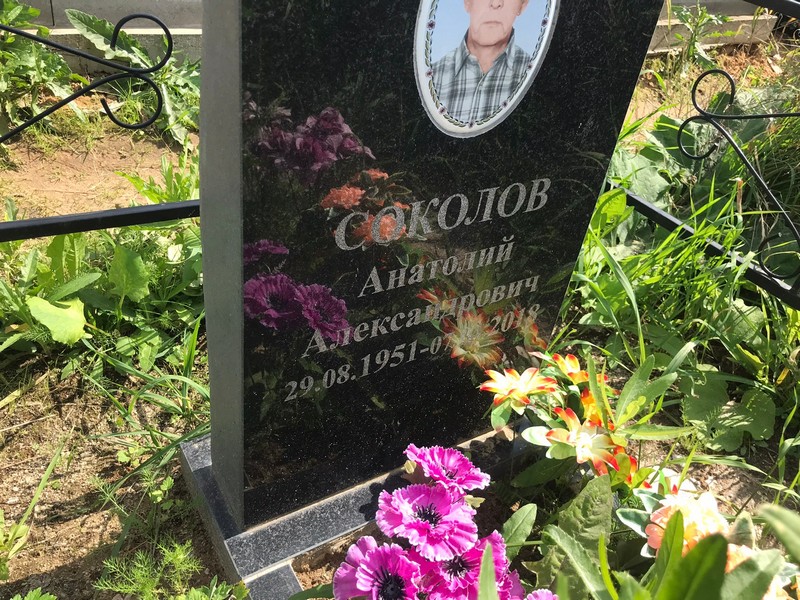 Соколов