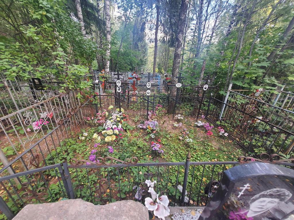Ремизов Борис Васильевич