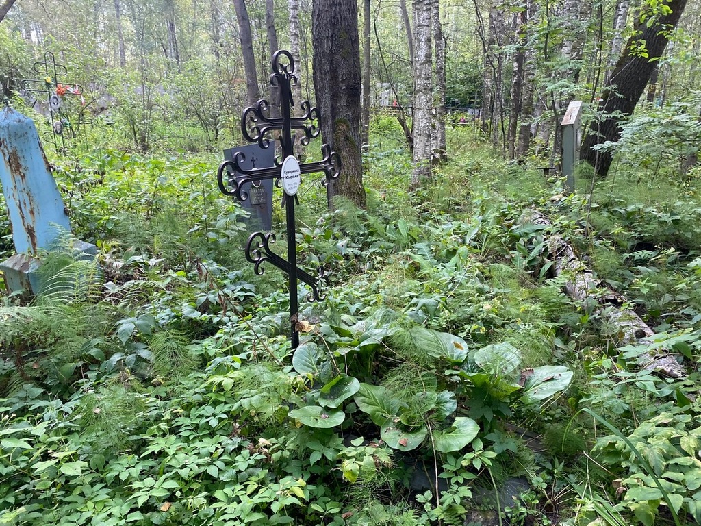 Суворкина Юлия
