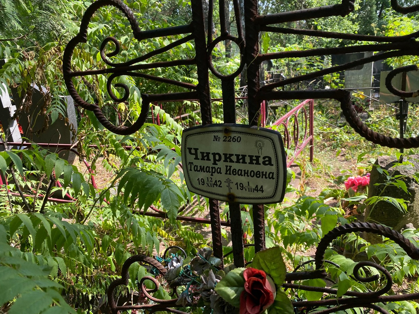 Чиркина