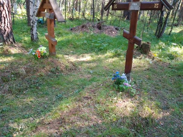 Гаев Миней Данилович