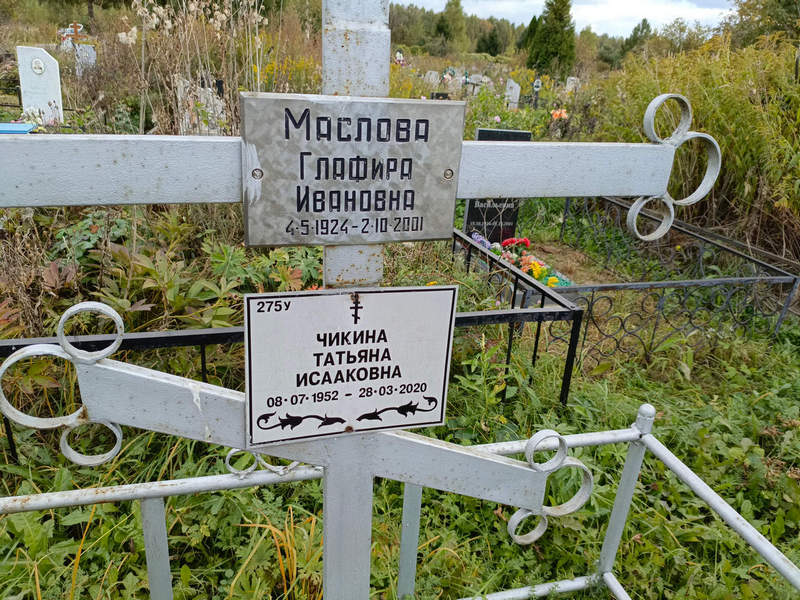 Чикина