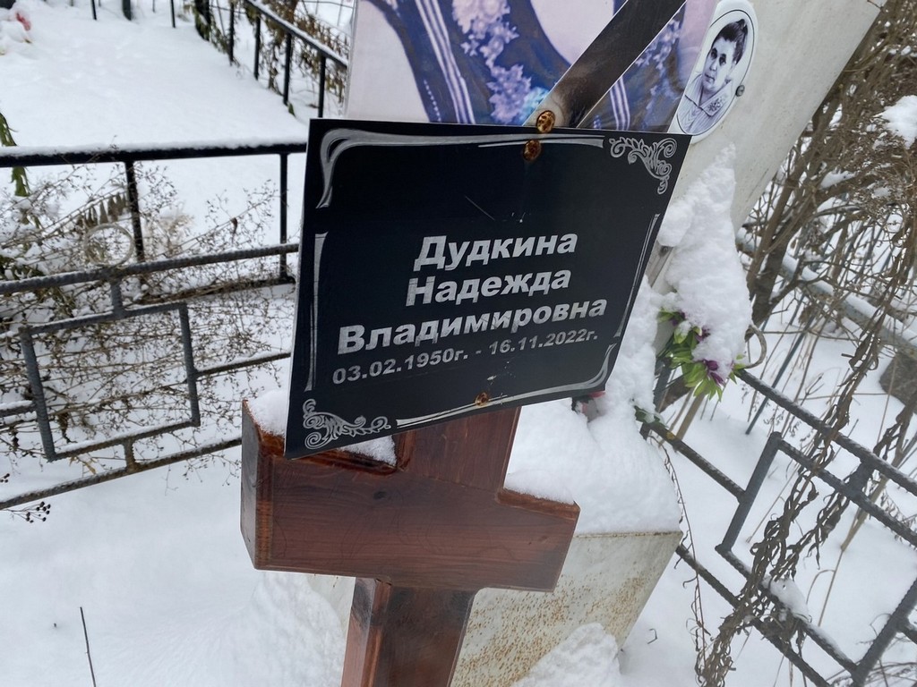 Дудкина Надежда Владимировна