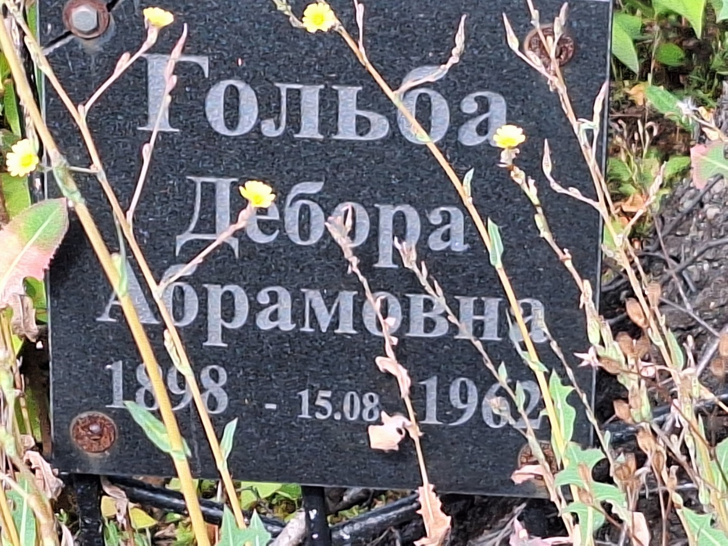 Дебора Гольба Абрамовна