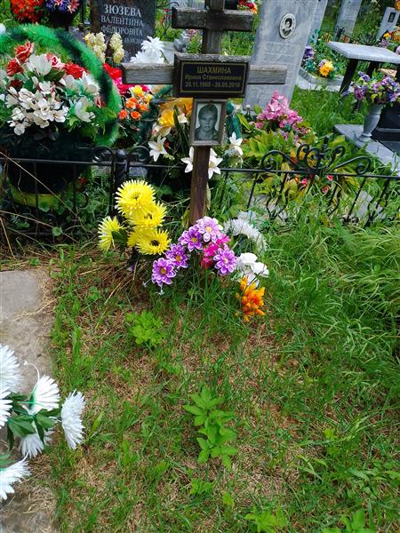 Шахмина Ирина Станиславовна