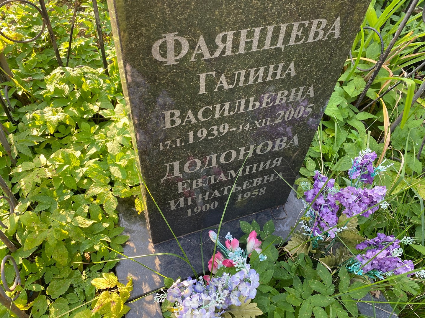 Фаянцева
