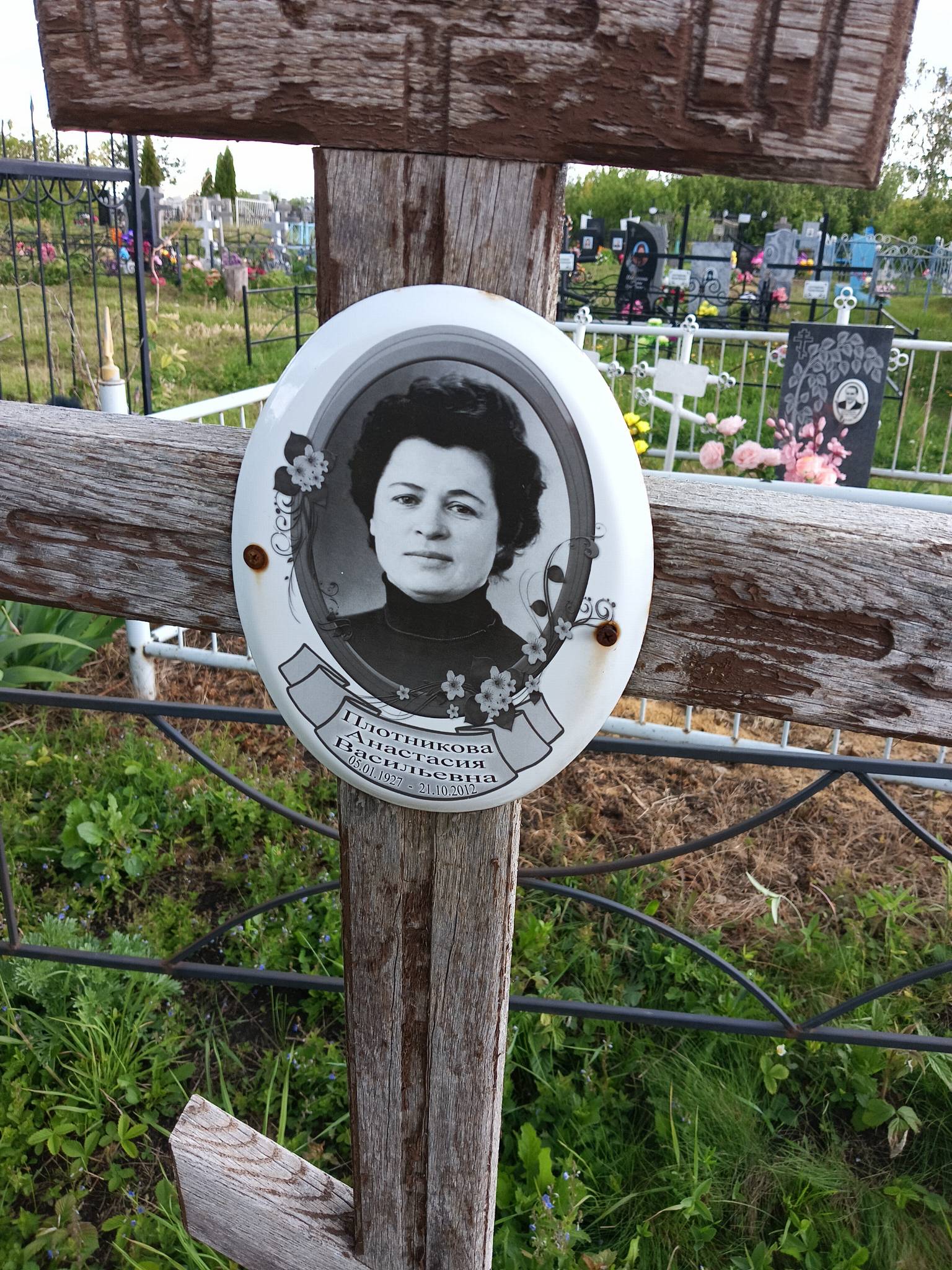 Плотникова Анастасия Васильевна