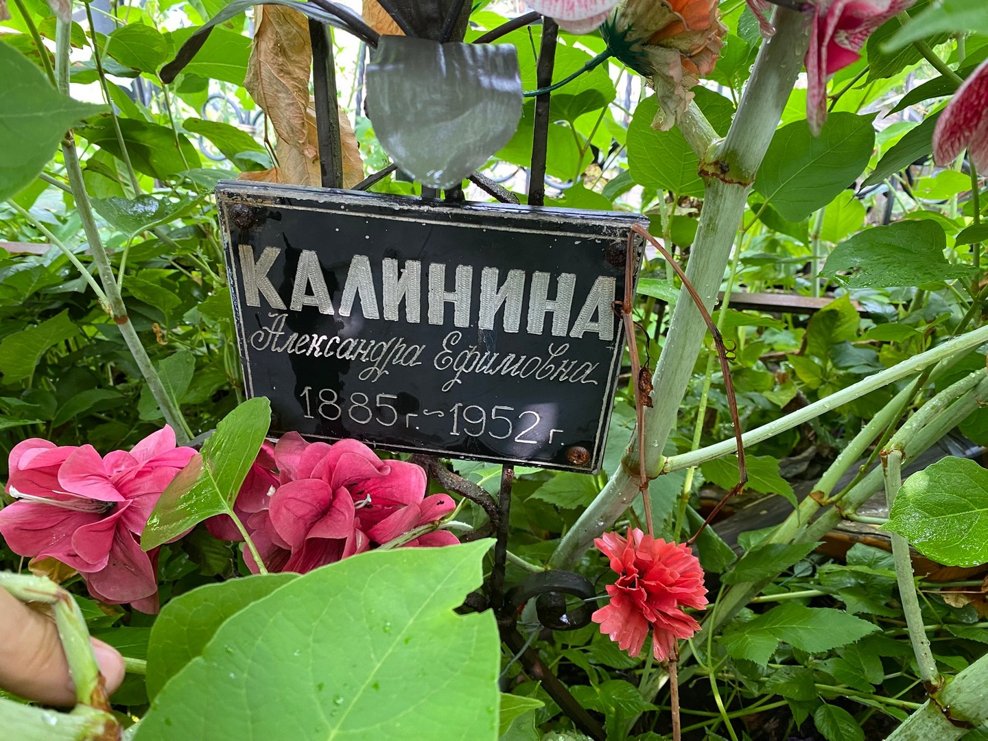 Калинина Александра Ефимовна