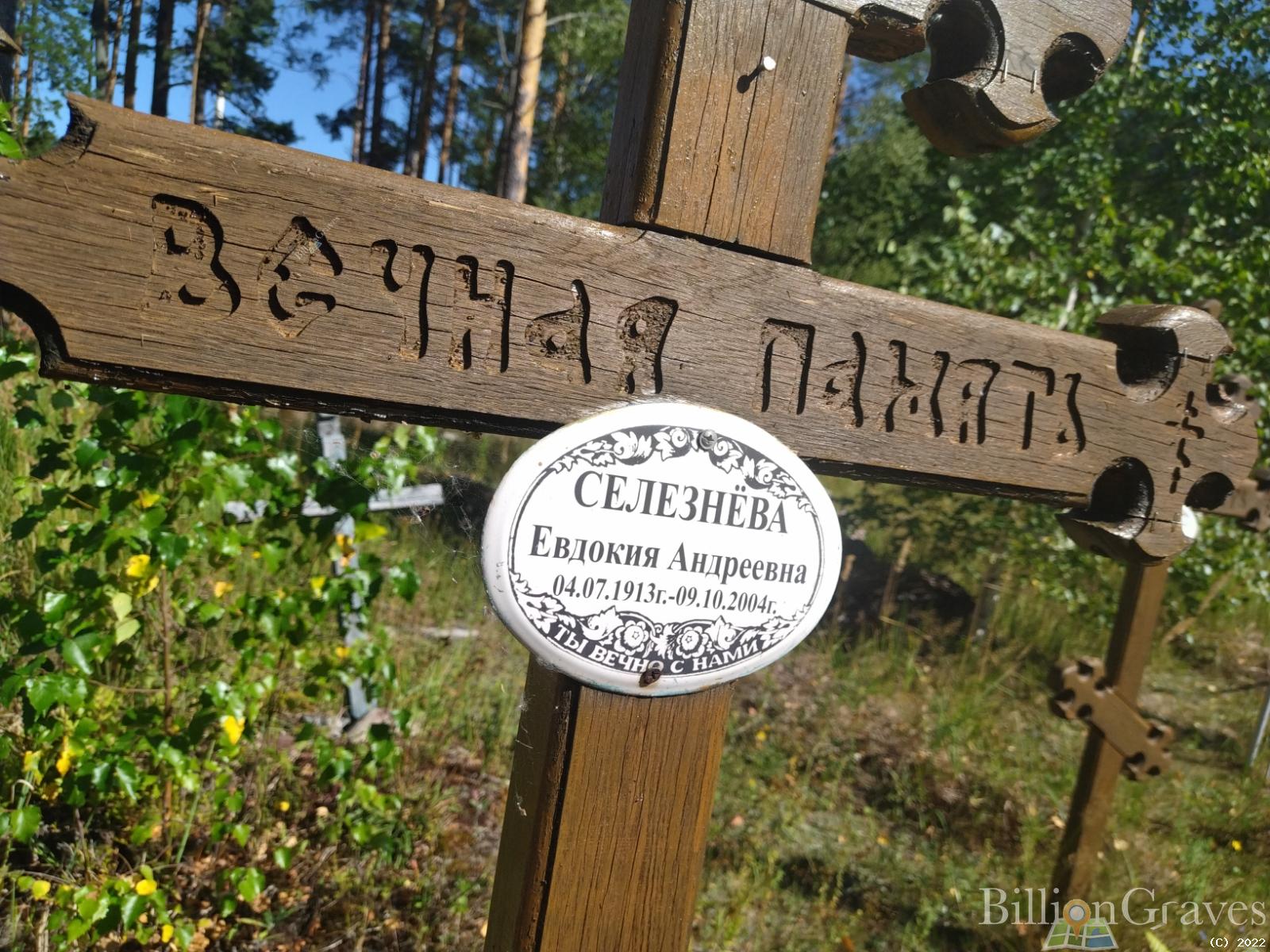 Селезнёва Евдокия Андреевна