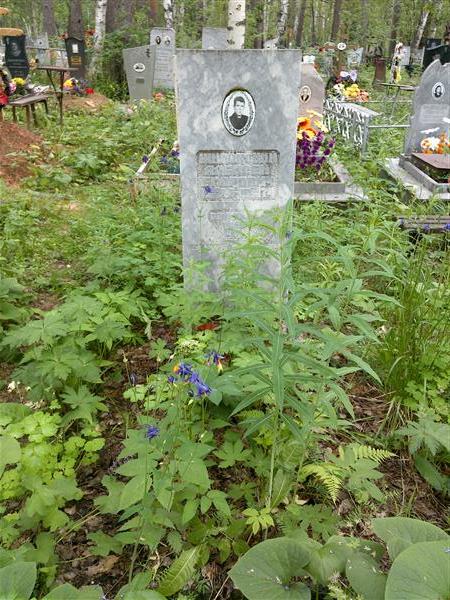 Шиловский Алексей Егорович