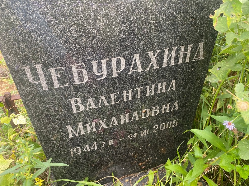 Чебурахина