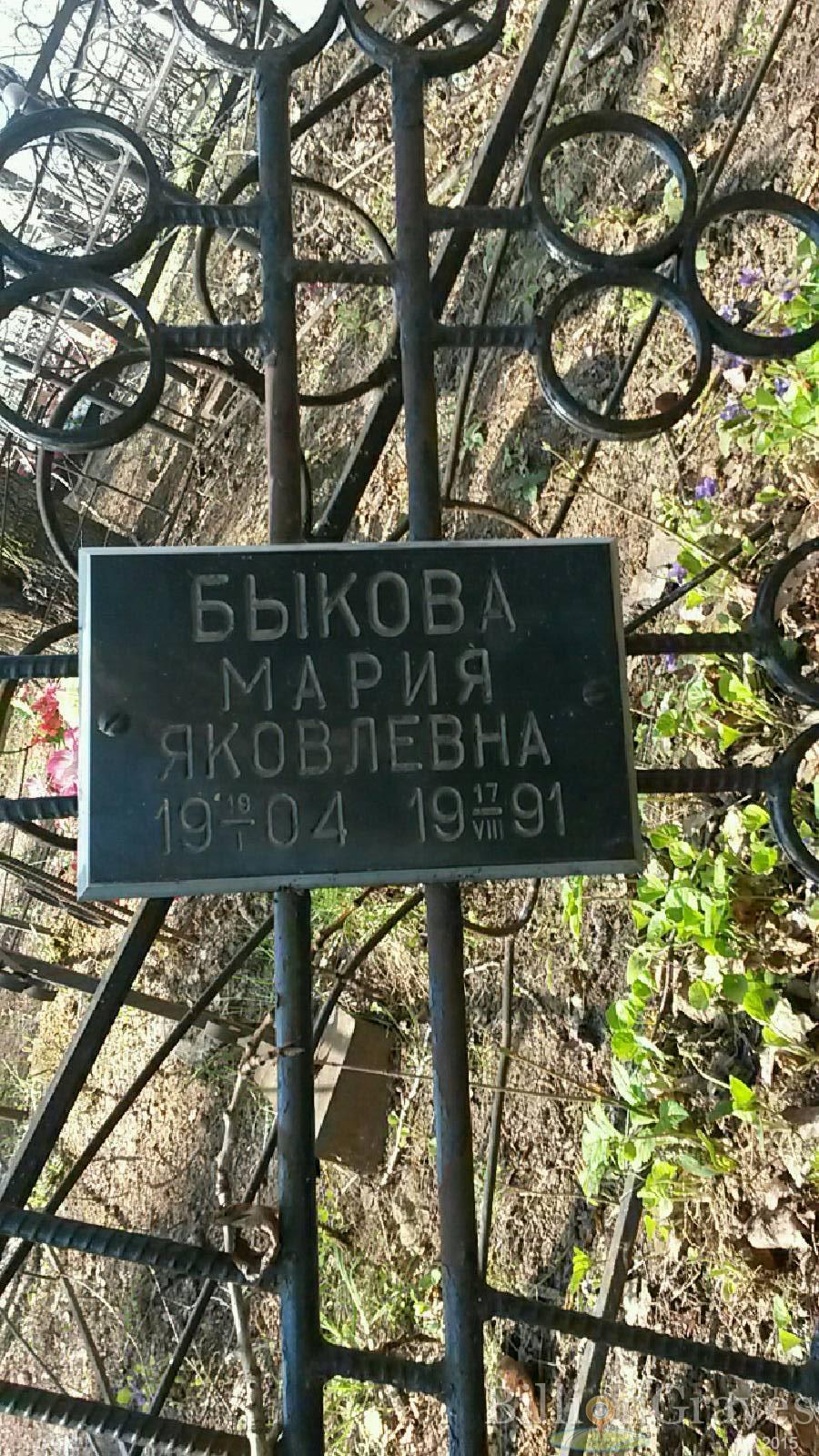 Быков Александр Алексеевич