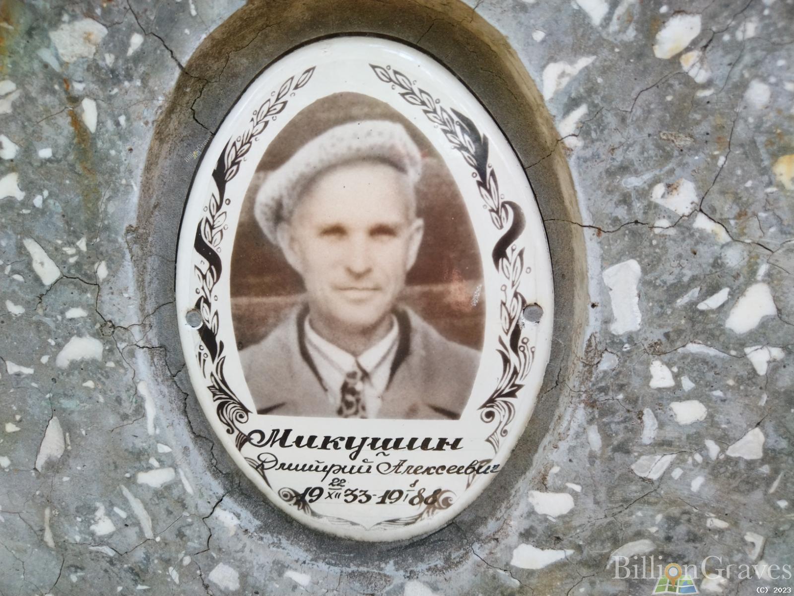 Микушин Дмитрий Алексеевич