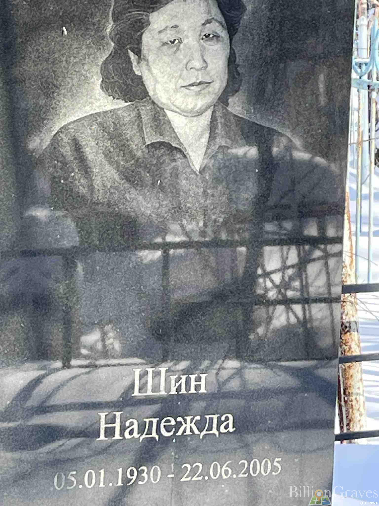 Шин Надежда