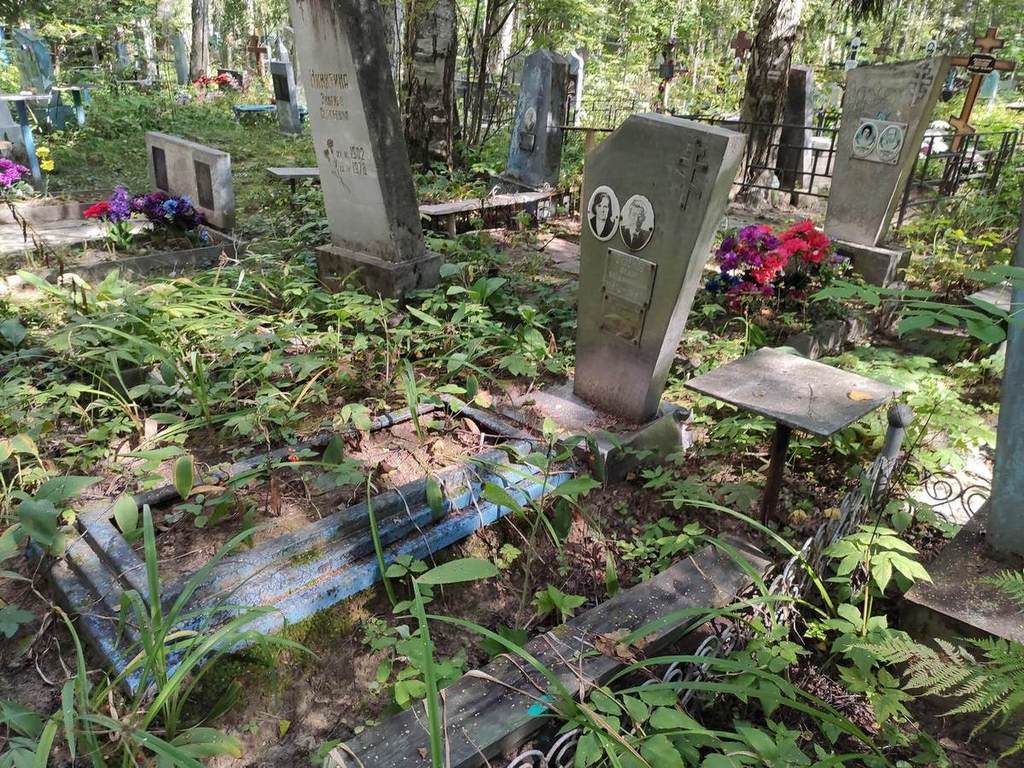 Окоемова Татьяна Николаевна