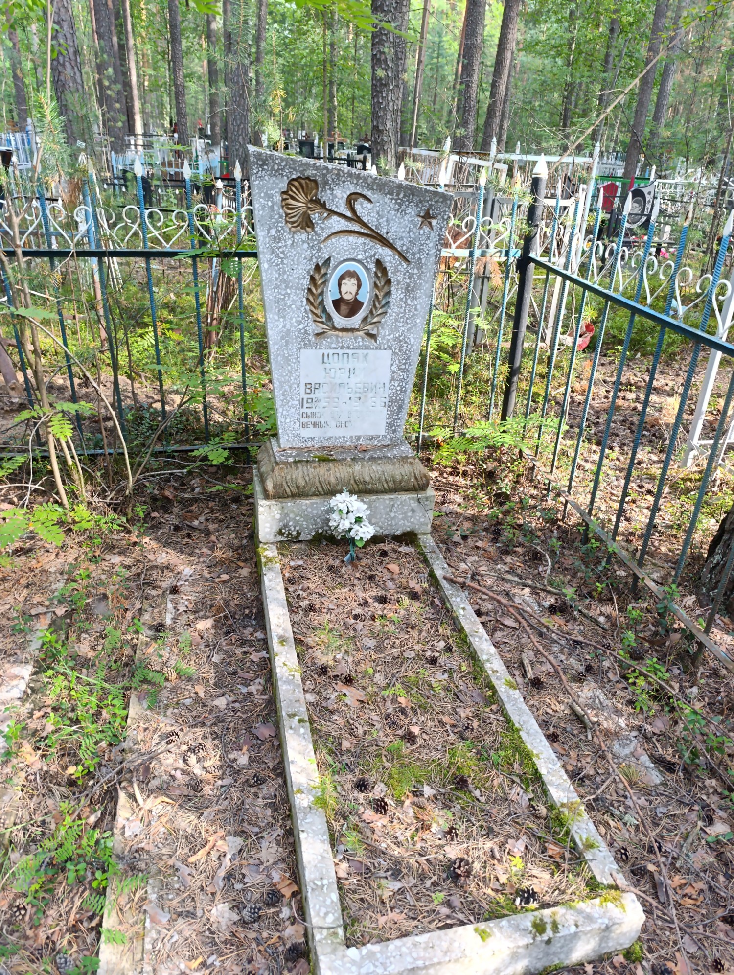 Цоняк Юрий Васильевич