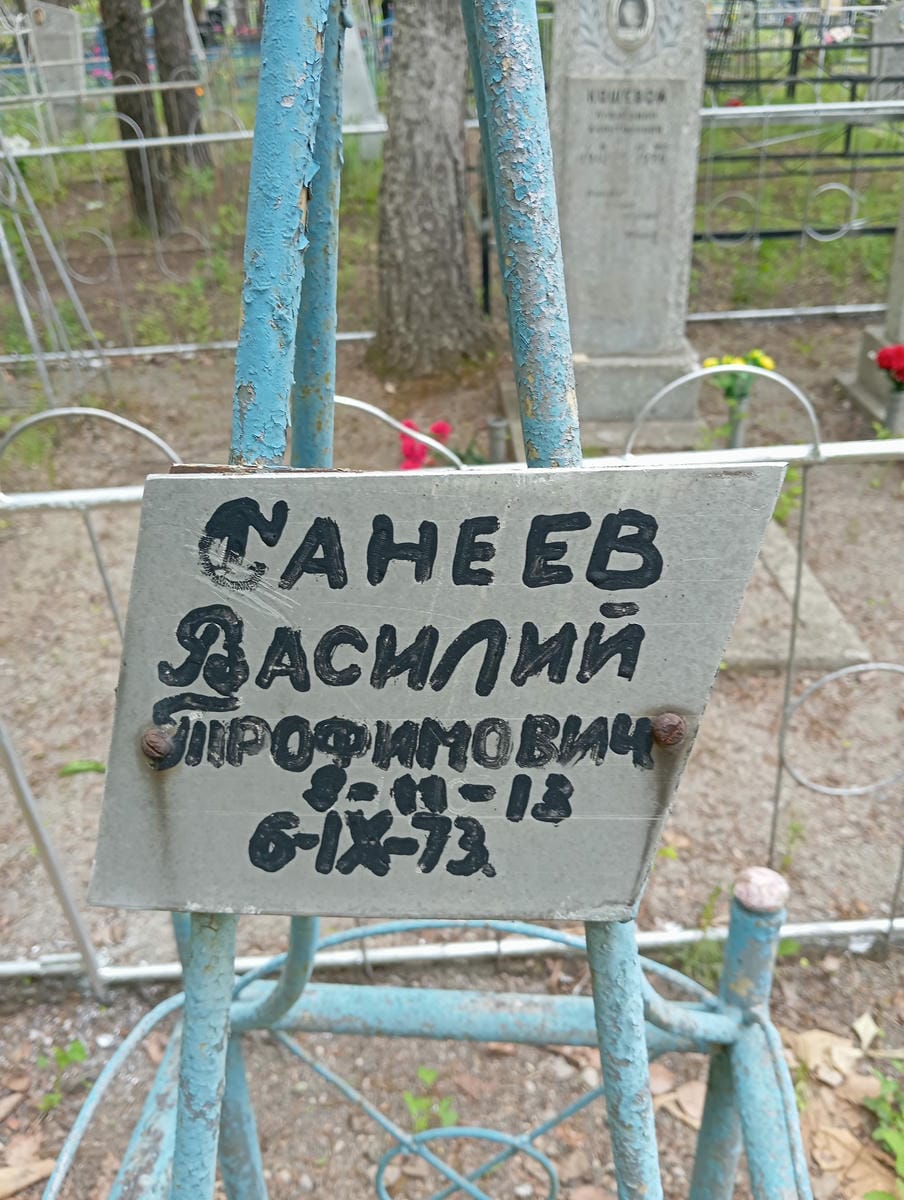 Санеев Василий Трофимович