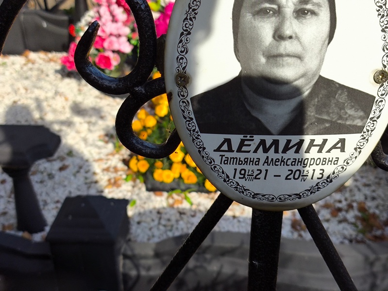 Демина