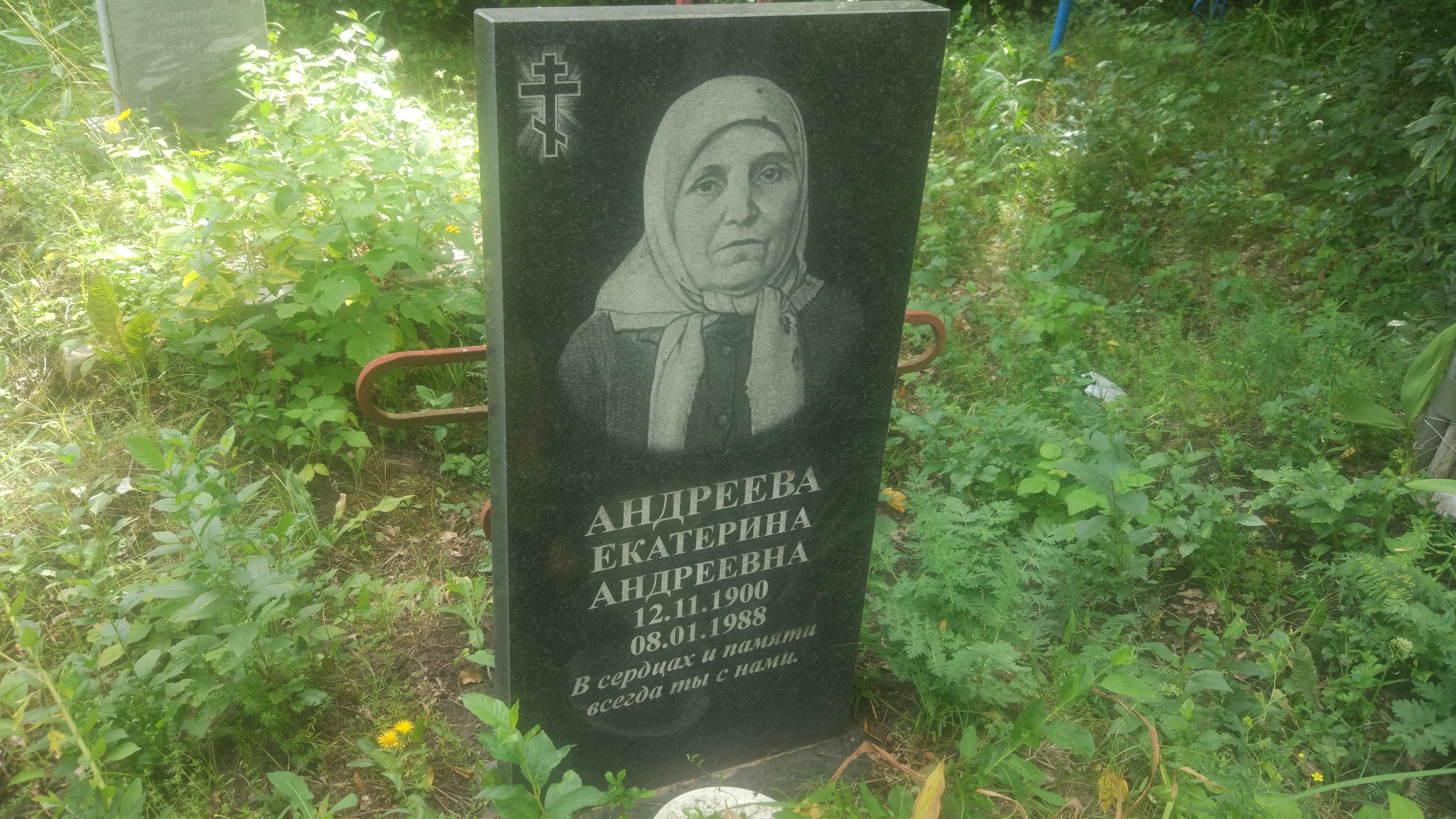 Андреева Екатерина Андреевна