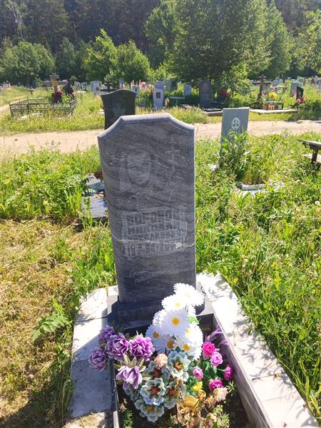 Воронов Николай Николаевич