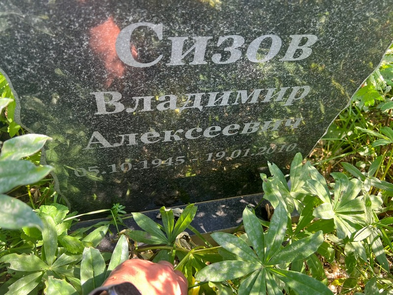 Сизов