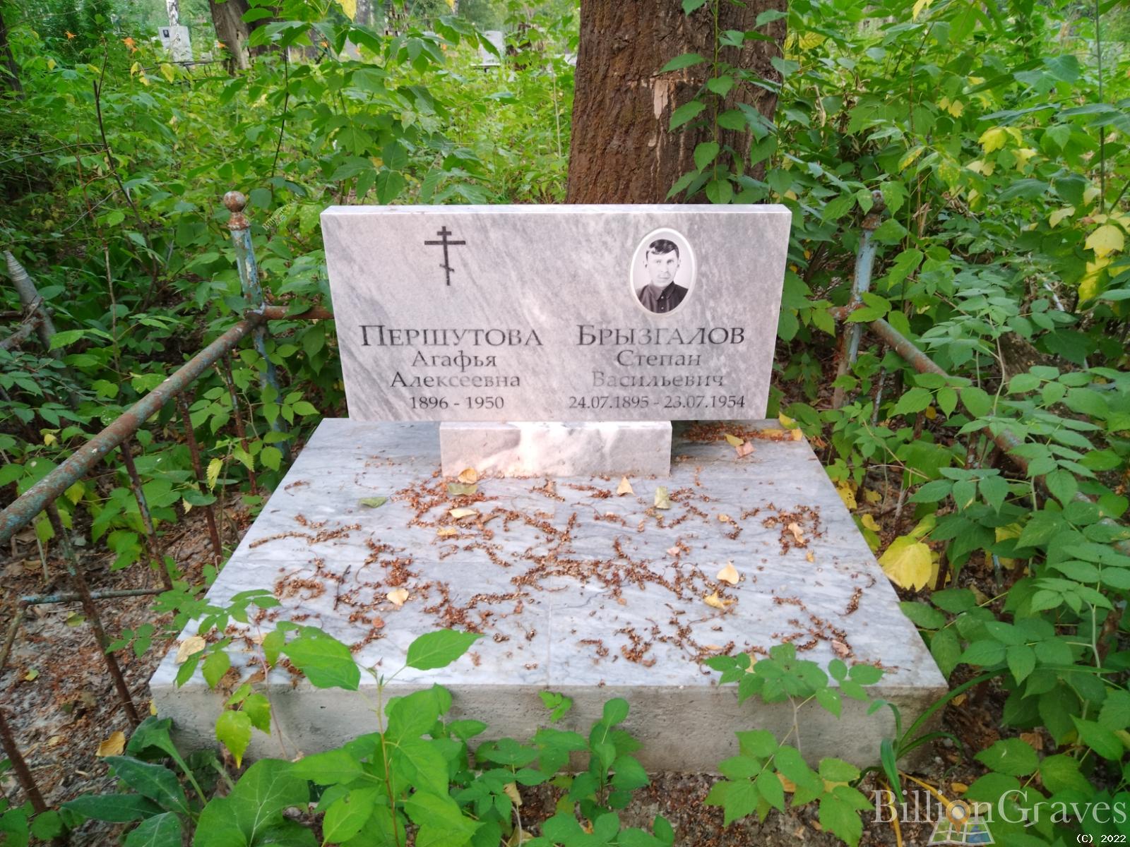 Брызгалов Степан Васильевич
