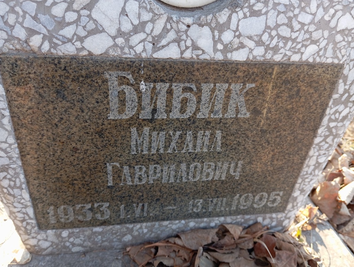 Бибик Михаил Гаврилович