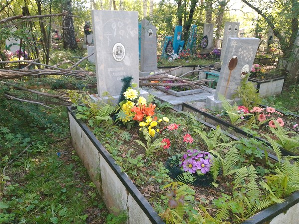 Любимов Василий Михайлович