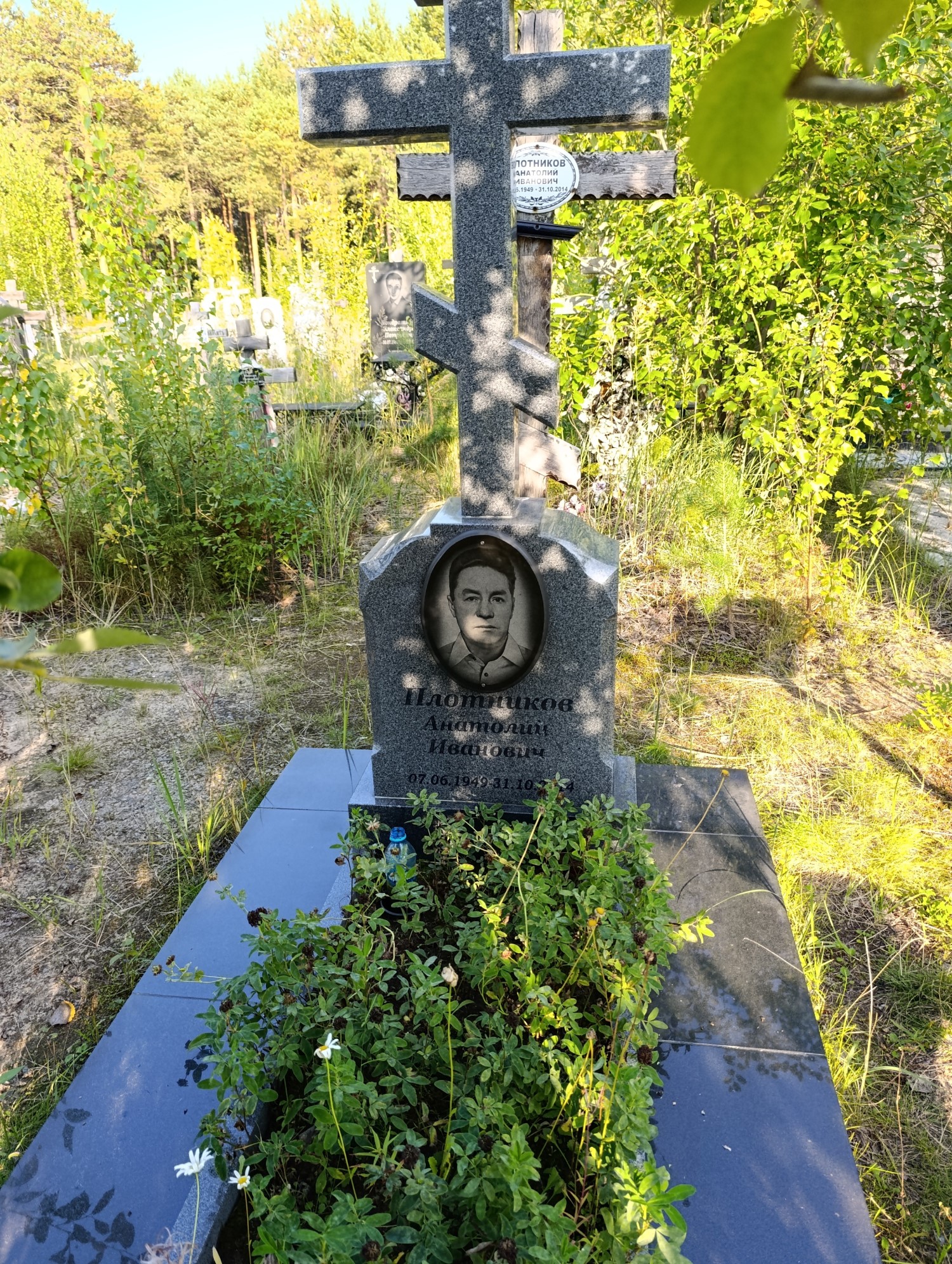 Плотников Анатолий Иванович