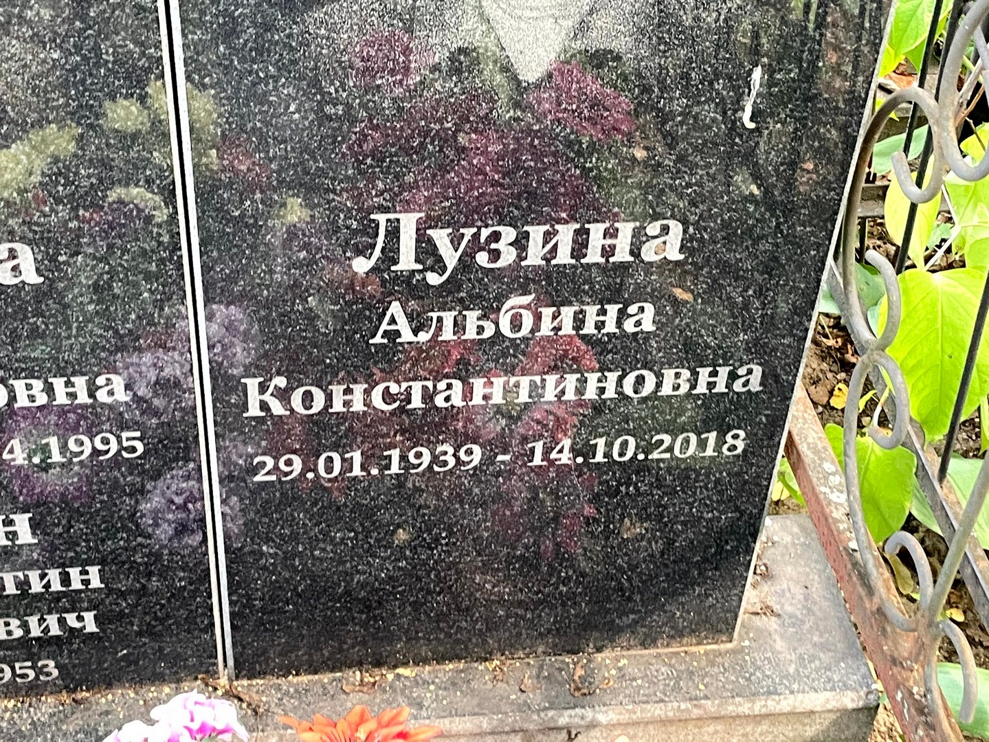 Альбина Лузина Константиновна